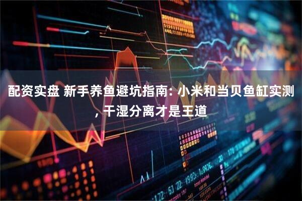 配资实盘 新手养鱼避坑指南: 小米和当贝鱼缸实测, 干湿分离才是王道