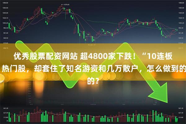 优秀股票配资网站 超4800家下跌！“10连板”热门股，却套住了知名游资和几万散户，怎么做到的？