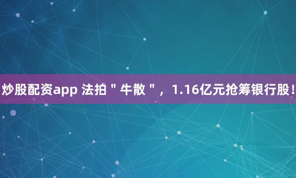 炒股配资app 法拍＂牛散＂，1.16亿元抢筹银行股！