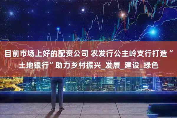 目前市场上好的配资公司 农发行公主岭支行打造“土地银行”助力乡村振兴_发展_建设_绿色